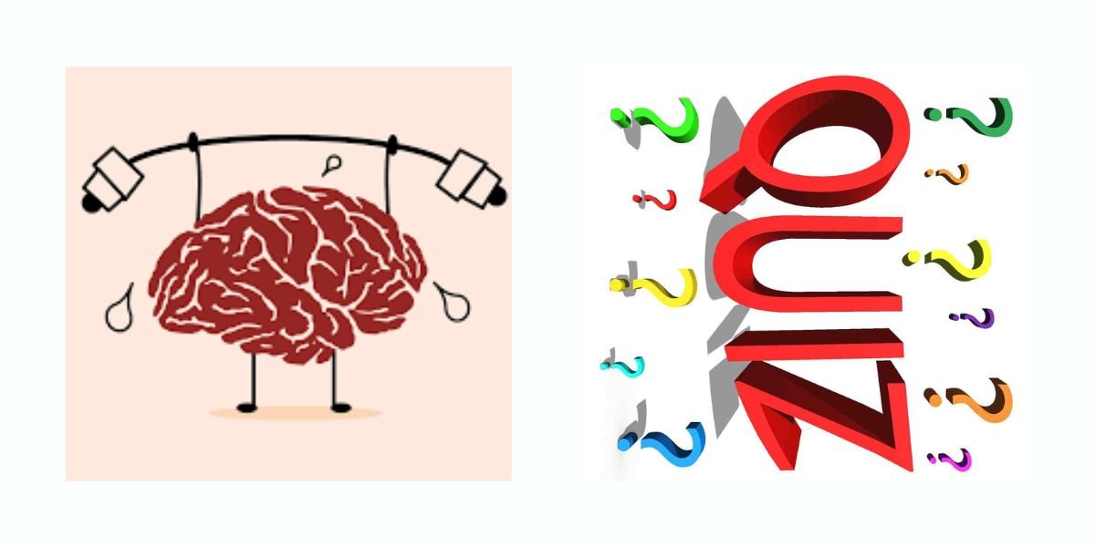 puzzle-quiz